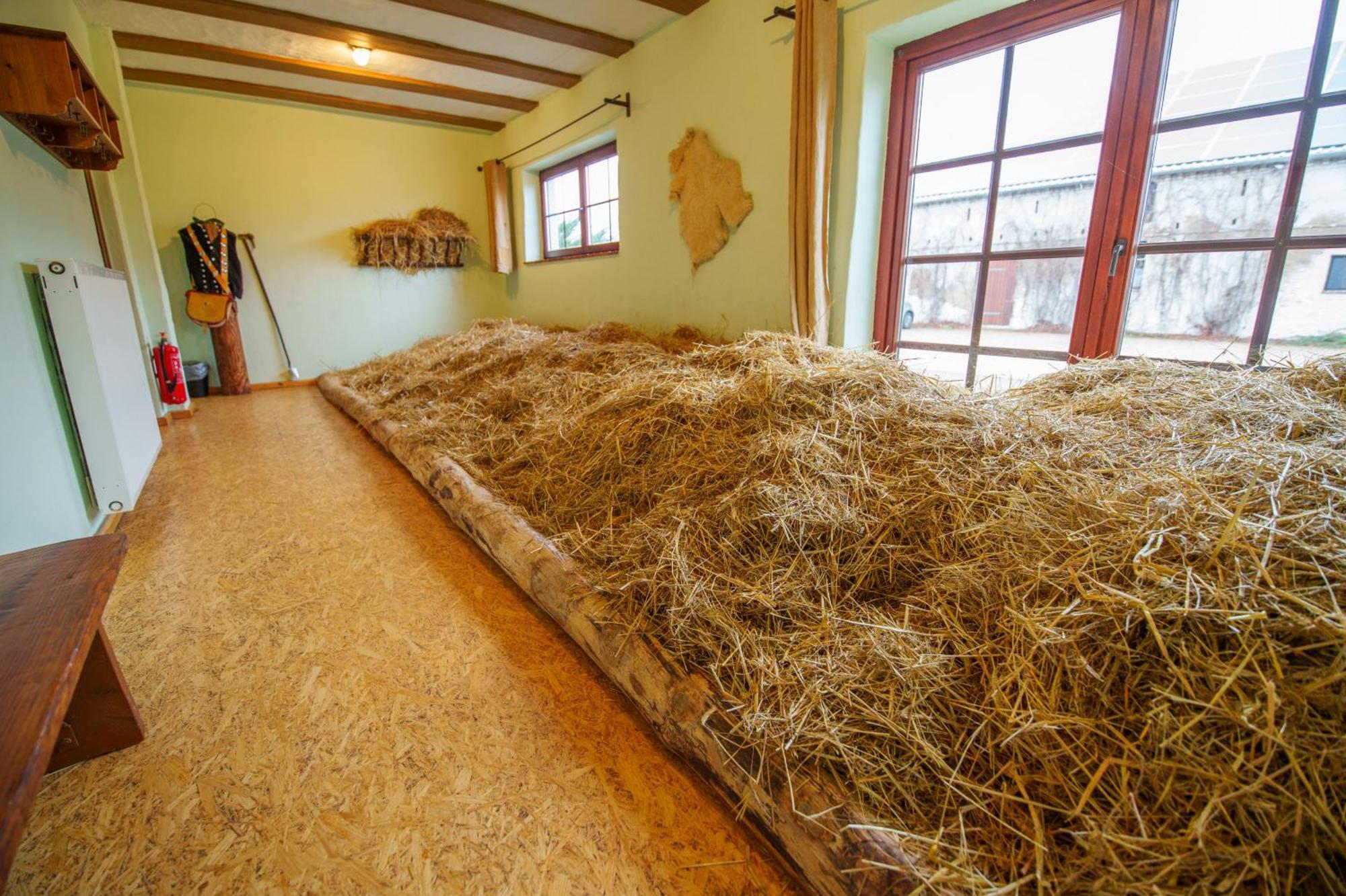Scheunenherberge Unterspreewald Εξωτερικό φωτογραφία